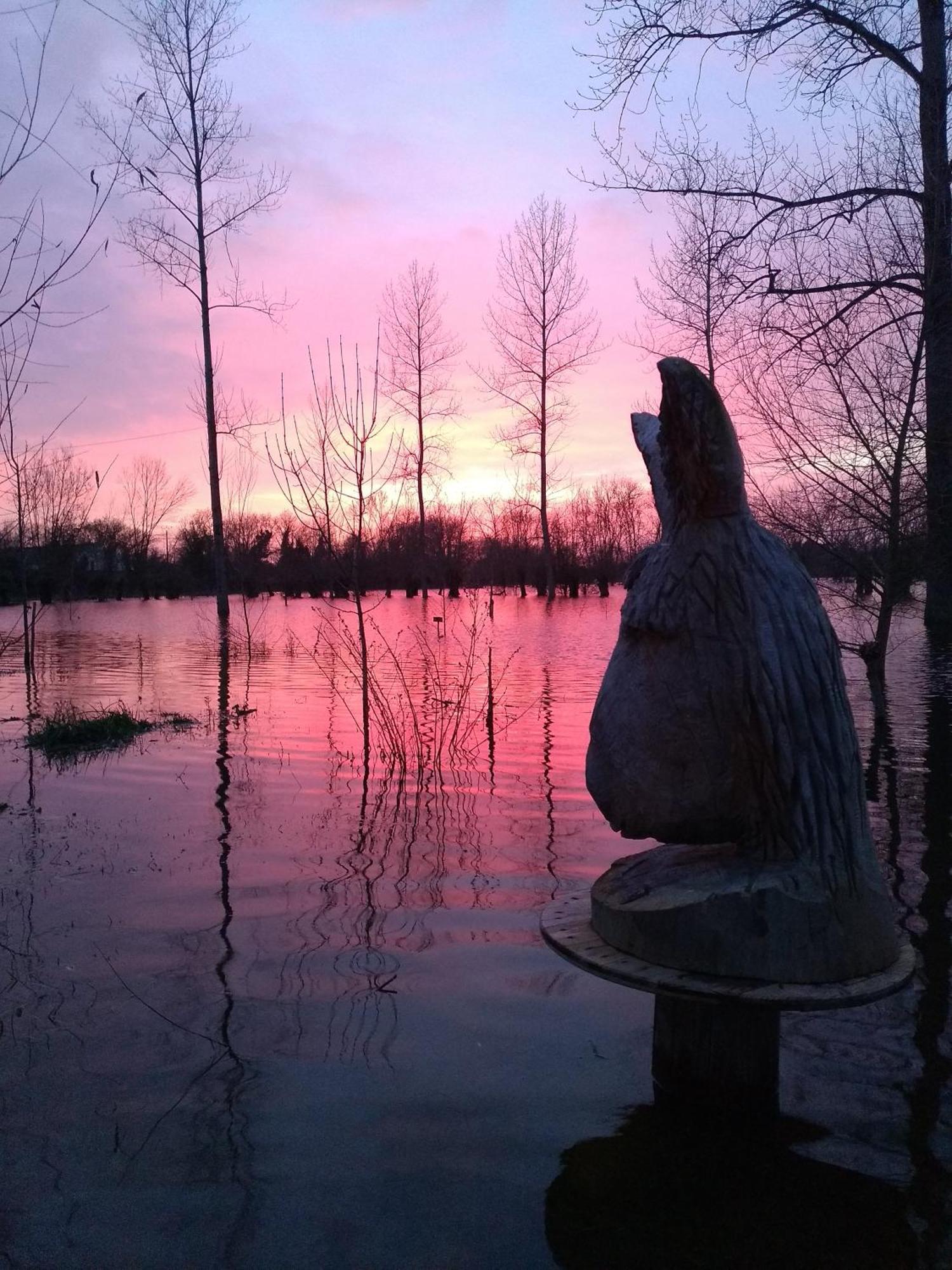 La Ferme Du Marais Poitevin - Roulotte 호텔 Benet 외부 사진