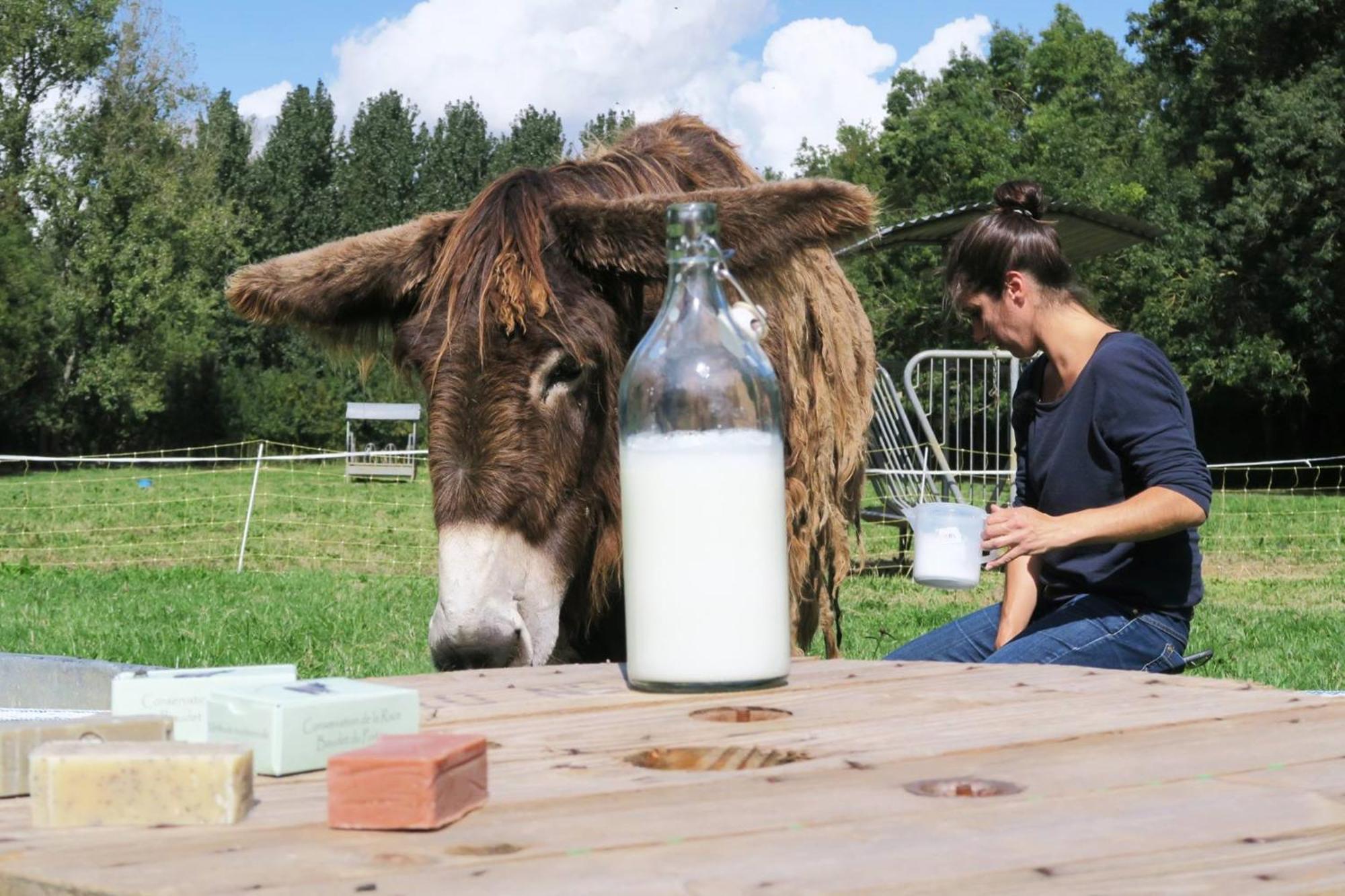 La Ferme Du Marais Poitevin - Roulotte 호텔 Benet 외부 사진